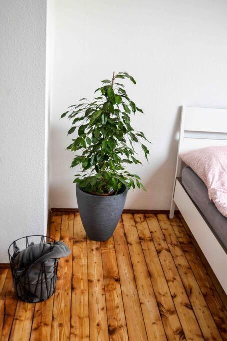 Schoene Dachgeschosswohnung Nahe Koeln Eksteriør billede